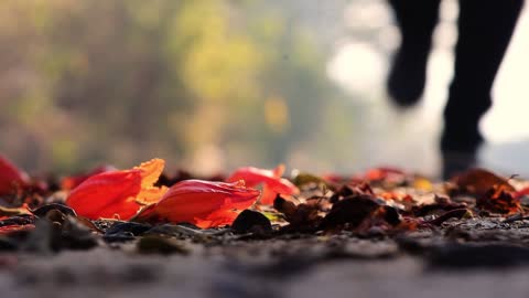 A Person Stepping On Fallen Leaves And Flowers While Running