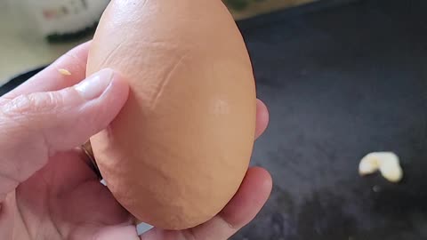 Giant egg