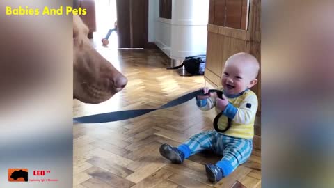 funny baby and family dog play together