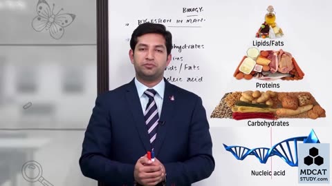 LEC#8 DIGESTION IN MAN