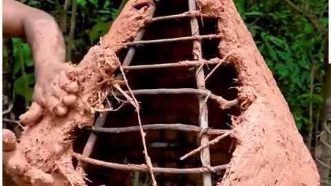 This guy built a wonderful house for abandoned puppies!