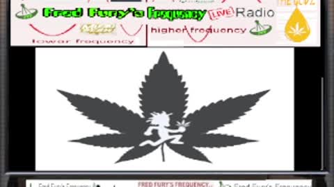 Fred Fury's Frequency's Ep 444 Wake N Bake Music Sesh