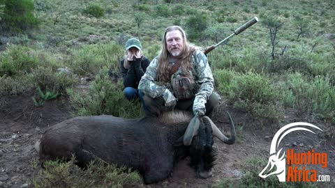 Brett Black Wildebeest Hunt