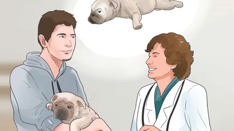 How To Know That Your Dog Has Distemper!