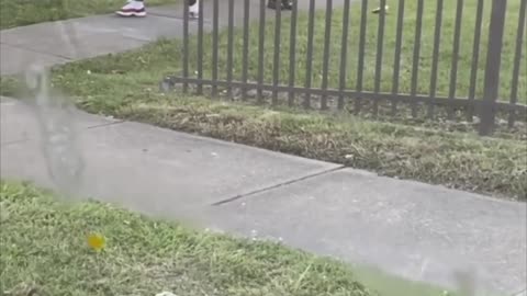 The coolest ice cream truck driver ever