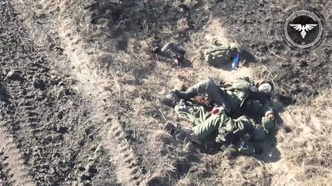 russian assault group gets completely massacred by the 47th Brigade