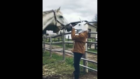 Horse prank...Funny horse clip😊😊😊