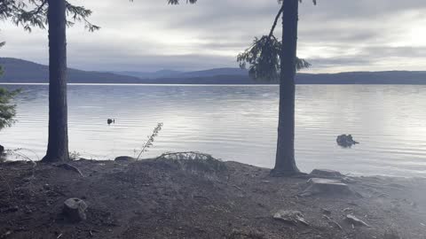 The Cove Day Use Area – Timothy Lake – Mount Hood National Forest – Oregon – 4K