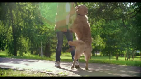 Loving Moments Human Shares Love With Dog