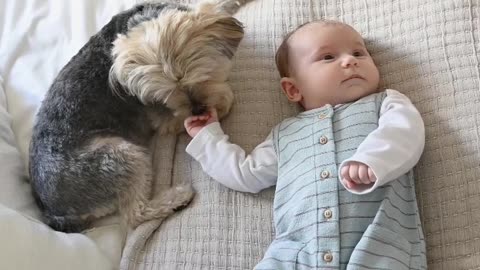 Cute Baby And Dog😍|OMG So Cute🥰|#shorts #youtubeshorts #cute #dog #baby #status #viral #beautiful