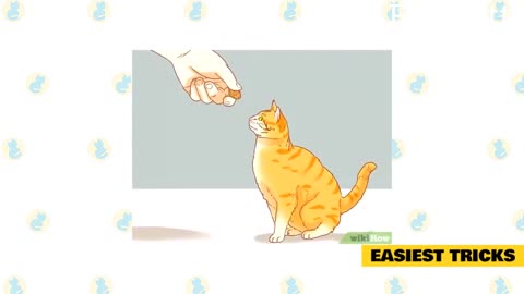 How To Teach Your Cat A Trick In Easy Steps