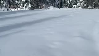 Buddy snow ball slowmo