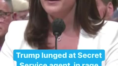 Former President Donald Trump lunged at a Secret Service