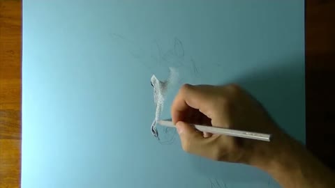 Draw A Realistic Picture Of A Unicorn