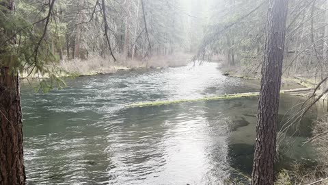 Hiking Along an Incredible Wilderness Trail – Metolius River – Central Oregon – 4K