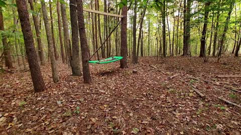 Swinging in the Woods