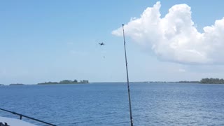 setting shark baits with a drone