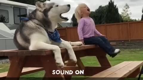 Silly dog and silly kids