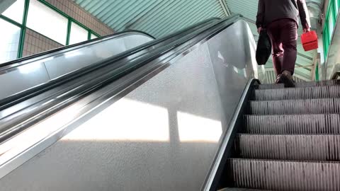 Escalator climber