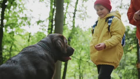 A Child Playing with His Pet Dog