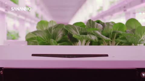 5 Vertical Farms Run by AI and Robots | Future of Farming ▶