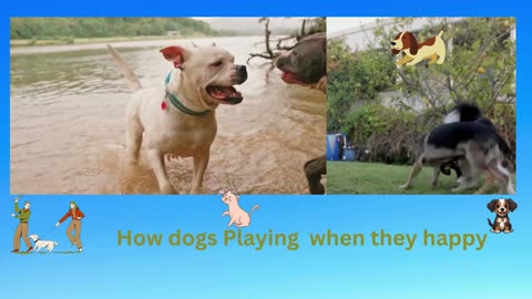 When dogs are happy, they tend to play.