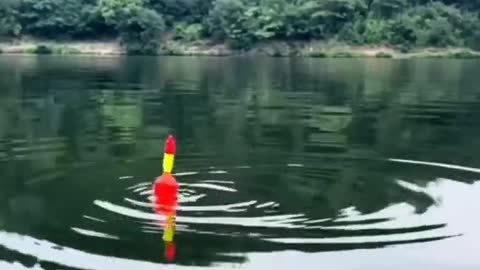 WAIT FOR IT FISH BUOY