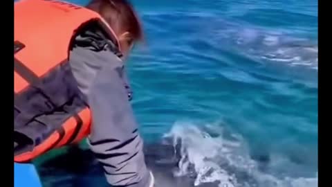 Whales are so close to people, they don't usually hurt people