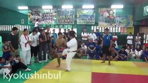 Kyokushin Karate vs Muay Thai