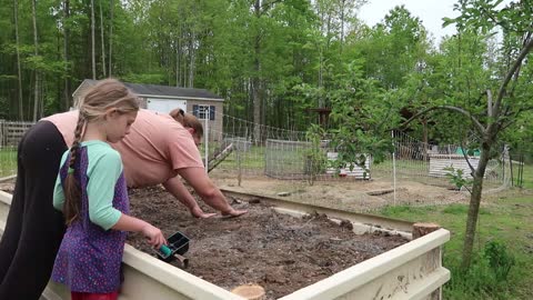 What NOT to Plant with Potatoes