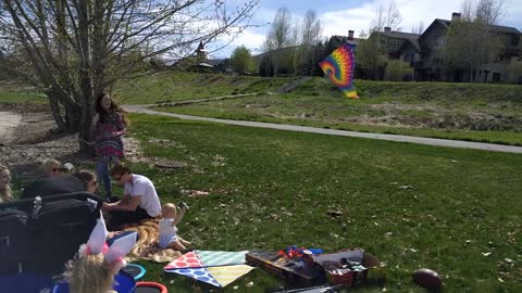 Baby flies kite like a pro