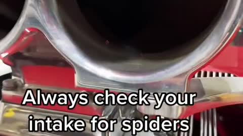 Always check your intake for spiders