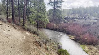 Exploring the Scenic Deschutes River Trail – Central Oregon – 4K