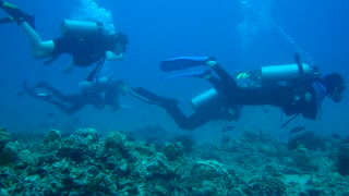 Sutherland's Reef