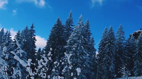 Beauty winter in the mountains of Germany.