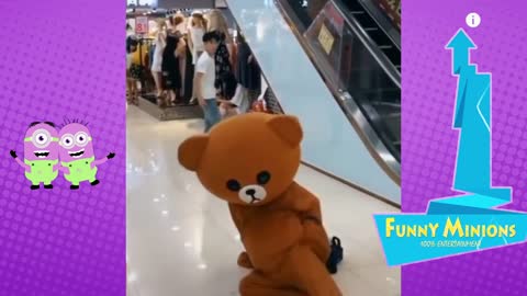 Funny 🥳 Brown Tedibear.