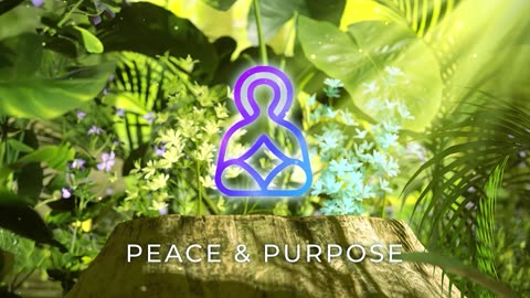 Peace & Purpose - Vision of Success