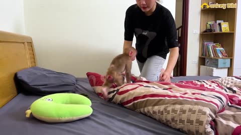 Bibi peed on the bed and knew overcome the consequences_video funny