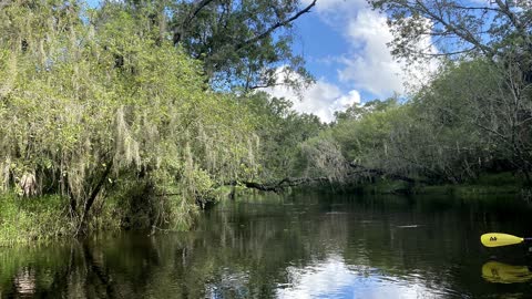 Little Manatee River State Park