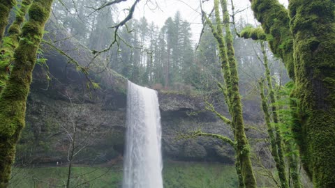 Look at this amazing waterfall and sceanery!