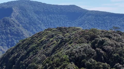 Drone at Springbrook & northern NSW mountains, Australia