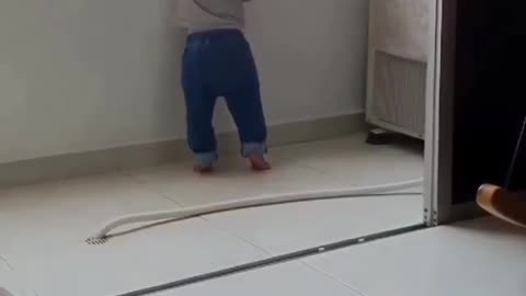 You won't believe this! CAT saves a toddler.