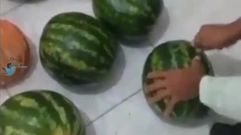 drug in watermelon