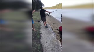 Reeling in a Massive Shark