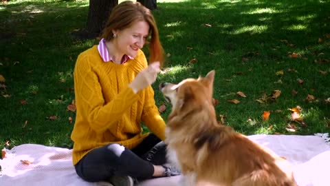 a woman and her dog enjoying the park |