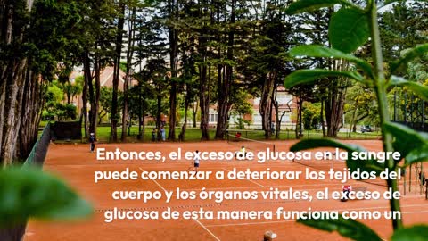 Cómo controlar la diabetes tipo 2/Síntomas y complicaciones y los mejores alimentos para la diabetes