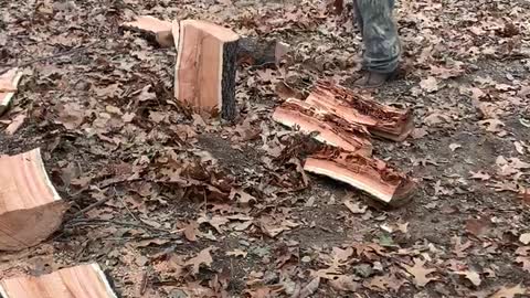 He’s got this wood splitting down