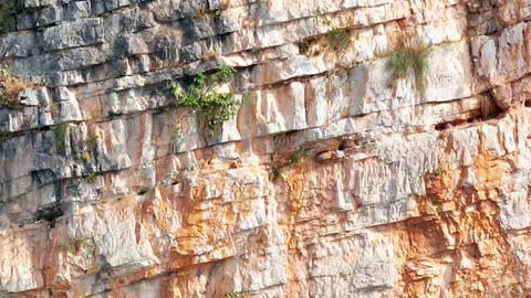 🌟 The fascinating world of sedimentary rocks! 🌟