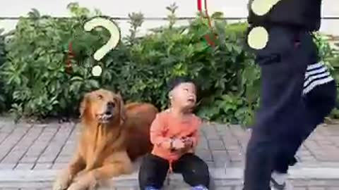 สุนัข,funny animal,cute dog,funny animals,funny animal videos,cute dogs,