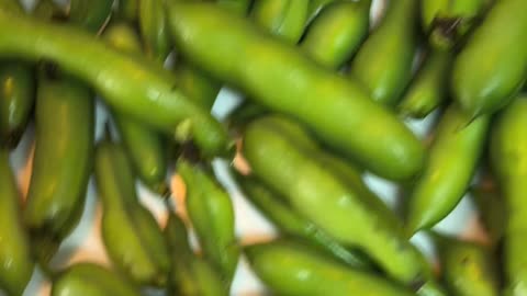 Growing beans at home